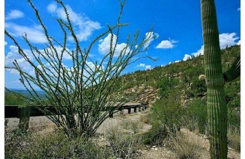 Tucson House | Brand new home near the airport and close to U of A and downtown.
