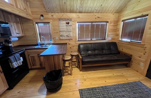 Island Park Cabin | BRAND NEW IN 2024! Easy access to Yellowstone NP!