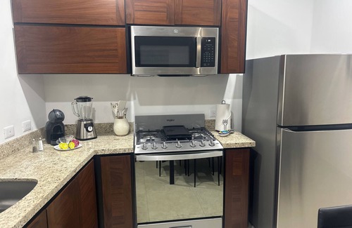 Libertad Apartment | Brand new spacious 1 Bedroom condo in Cabo San Lucas!