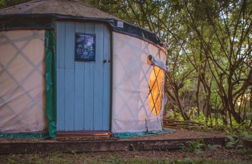 East Dereham House | Brandon House Farm Yurt