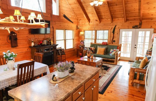 Blue Eye Cabin | Branson MO Log Cabin Private Porch Quiet Mtn. Forest View Above Lake, Handicap