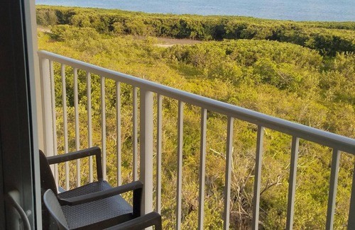 Tavernier Condo | Breathtaking Ocean views! Owners who care. “Sangria Sunrise”! 10% off charters!
