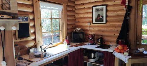 Lizio Ski Chalet | Bridget's Home