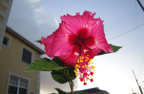 Welches Apartment | Bright and Spacious! Just Steps To The Beach!