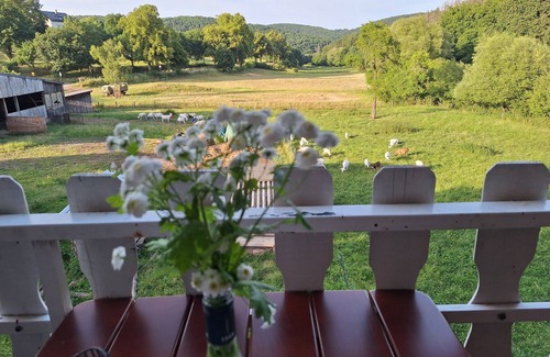 Bad Muenstereifel Apartment | Bright apartment Heidi 1st floor with fantastic valley view: KOLVENBACHER ZIEGENHOF