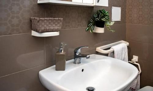 Magliano Apartment | Bright apartment near Magliano - 50 m² with amenities