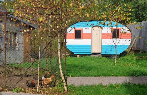 Saulxures-sur-Moselotte House | Bright and colorful house with sauna, hut, henhouse, bicycles & garden
