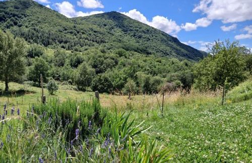 Sougraigne House | Bright loft with mountain and nature view