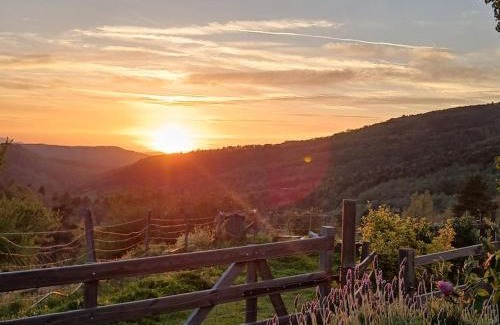 Sougraigne House | Bright loft with mountain and nature view