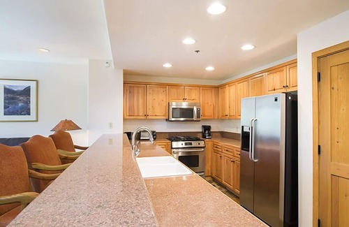 Mountain Village Condo | Bring Your Pet! 1-Bedroom Mountain Retreat at the Bear Creek Lodge