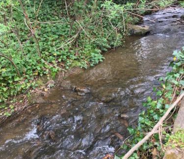 Waynesville House | Brookside Cottages