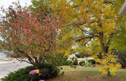 Hawkwood House | Brother Li Homestay