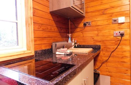 Beddgelert Other | Bryn Dinas Camping Pods at the foot of Mt Snowdon