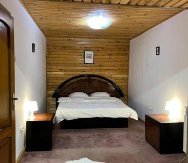 Sinaia Villa | BSG Villa - Sinaia