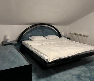 Sinaia Villa | BSG Villa - Sinaia