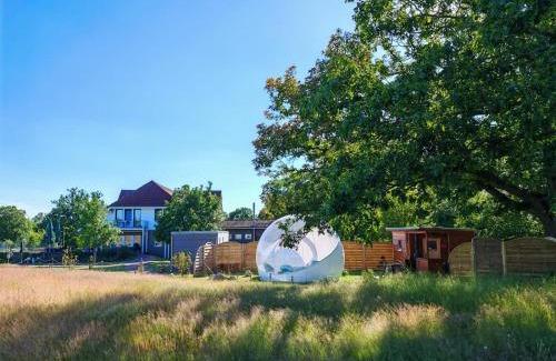 Altlandsberg Other | Bubble Tent Berlin by Reindahls