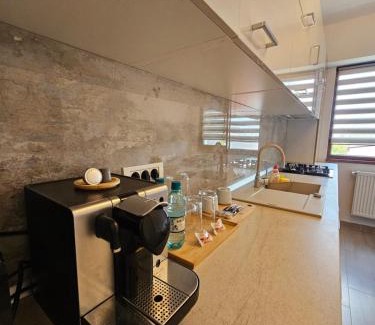 Sector 1 Apartment | Bucharest Apartment - Private Parking