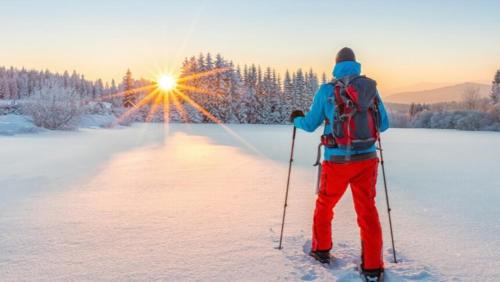 West Village House | Buckeye Bear's Den-ac-walking Distance To Town