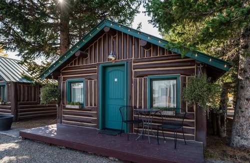 West Yellowstone Cabin | Bucking Moose Bison Cabin (#11)
