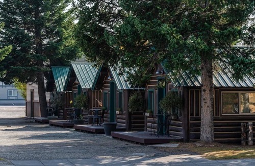 West Yellowstone Cabin | Bucking Moose Bison Cabin (#11)