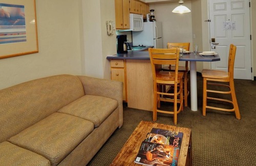 Palo Verde House | Budget Stays in Tucson Await: Spacious Rooms Near University of Arizona!