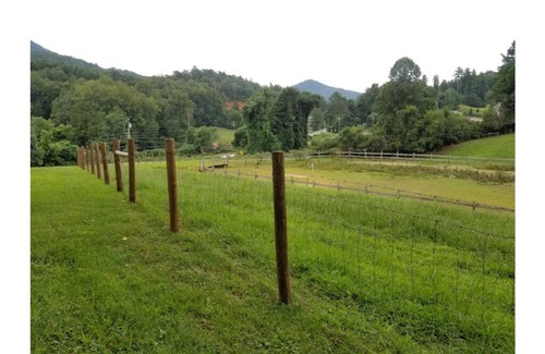 Bryson City Bed & Breakfast | "Buffalo" Guestroom at bed and breakfast on11 park-like acres