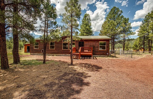 Williams Cabin | Bull Elk Lodge a cozy cabin in the woods of Northern Arizona