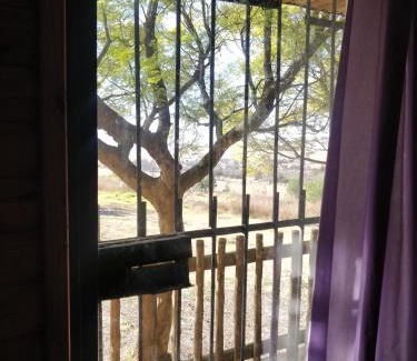 Centurion Apartment | Bungalow - A - Glamping AT Salbu