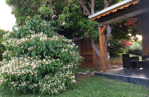 Sainte-Rose House | Bungalow Le Manguier