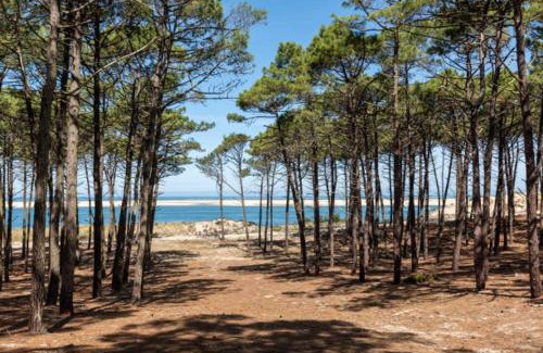 Bias Other | Bungalow-Mobilhome - Petit prix- Océan -Forêt -Camping 3 étoiles