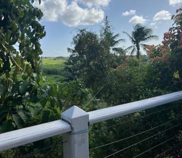Dubedou House | Bungalow Ti Siwo
