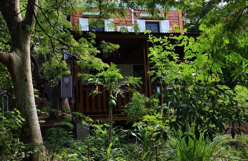 Piton Saint-Leu House | Bungalow under the trees