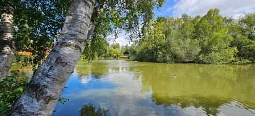 Dogdyke House | Bunting Lodge, 21 Duck Lake