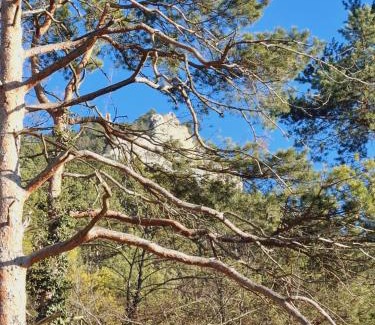 Seebenstein Apartment | Burgblick Apartment- 60qm, Küche, Waschmaschine, Streamingdienste