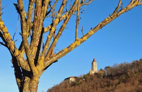 Seebenstein Apartment | Burgblick Apartment- 60qm, Küche, Waschmaschine, Streamingdienste