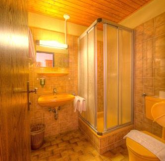 Morbisch am See Hotel | Burgenländerhof Hotel Garni