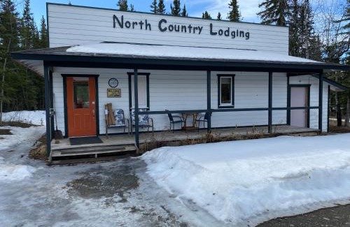 Tok Hotel | Burnt Paw