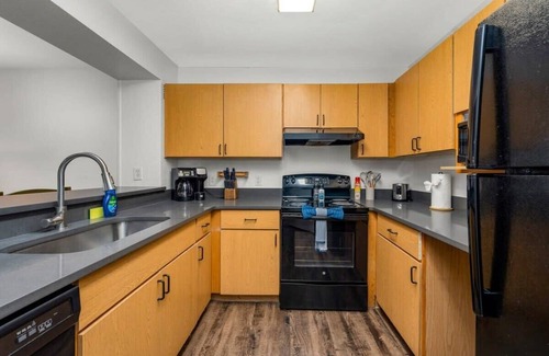 Bearss Plaza Apartment | Busch Gardens, USF, 10 MI to DT Tampa!