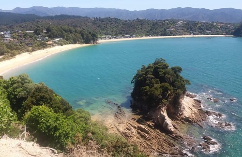 Ngaio Bay Apartment | Bush and Seaview Studio
