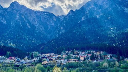 Busteni Apartment | Busteni Mountain View Suites by the River - EV Plug