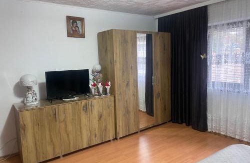 Baile Herculane Apartment | Butoianu Spate I