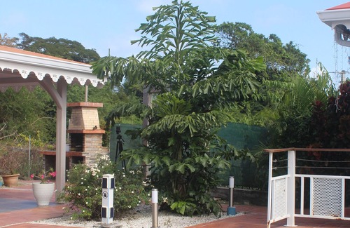 Tartane Villa | Bwa Kanpech Villa