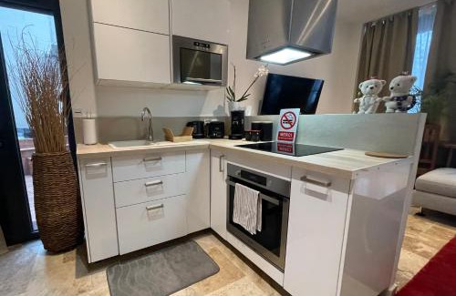 Villemomble Apartment | By nuit-parisienne : Superbe appartement avec SPA et terrasse privée