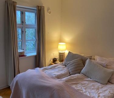 Odense Apartment | Byhus på klaregade