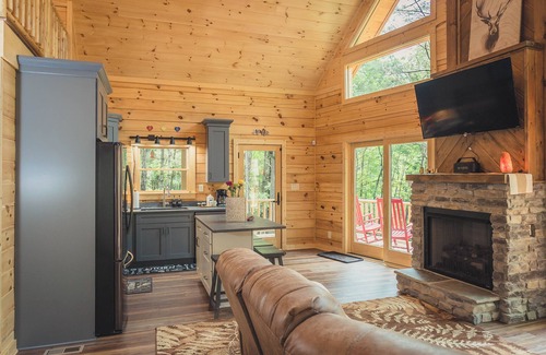 Ellijay Cabin | Byrd View Mountain Lodge + Free Park Pass