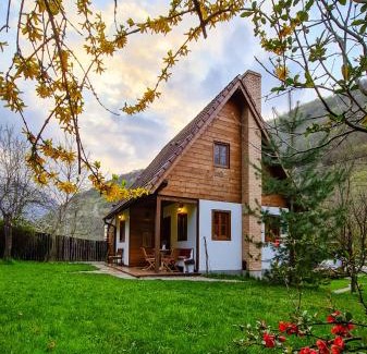 Ramet House | Căsuța cu Alune