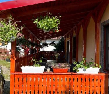 Campu lui Neag House | Căsuța din pădure de la Câmpu lui Neag