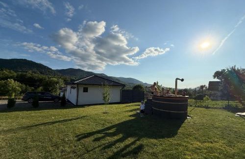 Ibanesti Villa | Căsuțele Gemenii