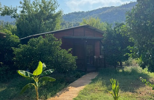 Cirali Apartment | Cıralı Anka Apart Bungalov