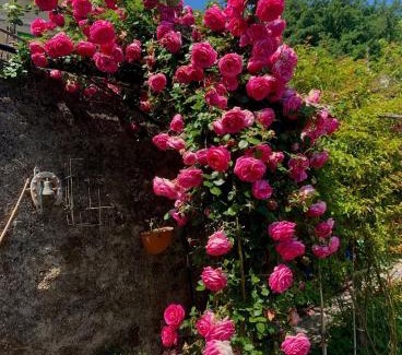 Sestri Levante House | Ca' de natta